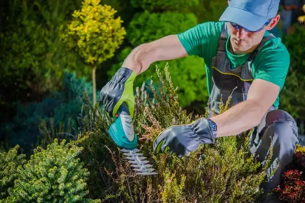 landscaping services Republic